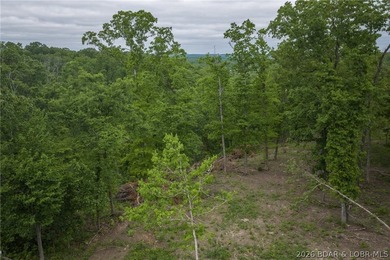 Strategic development tract available in Osage Beach MO. Located - photo 26