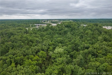 Strategic development tract available in Osage Beach MO. Located - photo 30