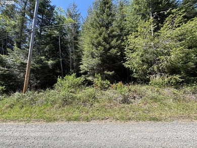 Over 2 acres of secluded paradise!! Just 15 minutes outside of - photo 1