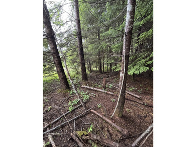 Over 2 acres of secluded paradise!! Just 15 minutes outside of - photo 3