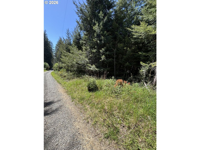 Over 2 acres of secluded paradise!! Just 15 minutes outside of - photo 4