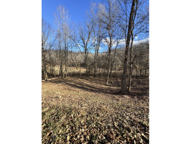 Waterfront Property - 3 Dockable Lots In Patriot Shores - photo 13