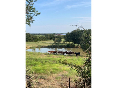 (private lake, pond, creek) Acreage For Sale in Millsap Texas