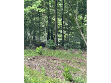 Waterfront Property - 3 Dockable Lots In Patriot Shores - photo 4