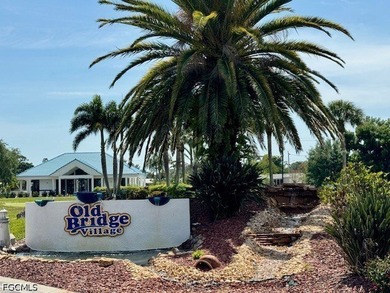 Welcome to your dream home in a desirable 55+ gated community! - photo 24