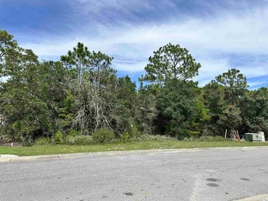 Lot 140 in the beautiful community of Leeward is ready for you - photo 3