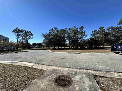 Lot 140 in the beautiful community of Leeward is ready for you - photo 7