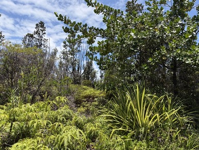 BREEZY and BUILDABLE one acre lot, located in the sunny KALOLI - photo 11