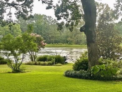 Serene, tranquil, waterfront home on 39 acres! Tree lined - photo 23
