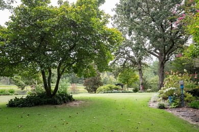 Serene, tranquil, waterfront home on 39 acres! Tree lined - photo 24