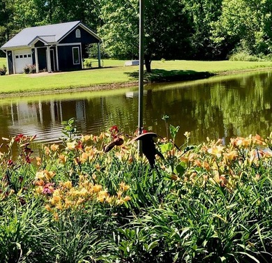 Serene, tranquil, waterfront home on 39 acres! Tree lined - photo 28
