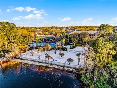 Welcome to your tropical oasis at 810 Lucaya Loop! This stunning - photo 50