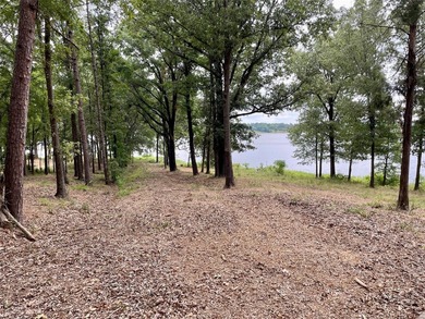 Wonderful 2.5 acre lakefront lot, with 161 ft of shoreline. The - photo 5