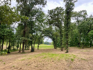 Wonderful 2.5 acre lakefront lot, with 161 ft of shoreline. The - photo 6