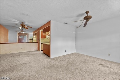 Priced to sell, this 3-bedroom, 1-bath villa in Principia Garden - photo 11