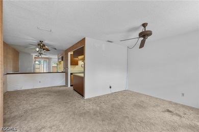 Priced to sell, this 3-bedroom, 1-bath villa in Principia Garden - photo 12