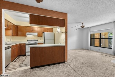 Priced to sell, this 3-bedroom, 1-bath villa in Principia Garden - photo 15