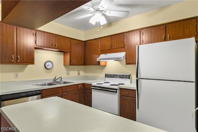 Priced to sell, this 3-bedroom, 1-bath villa in Principia Garden - photo 16