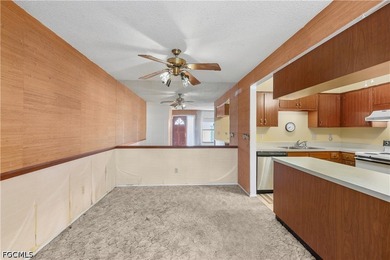 Priced to sell, this 3-bedroom, 1-bath villa in Principia Garden - photo 17