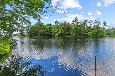 Discover a rare 10+ acre waterfront property encompassing two - photo 8