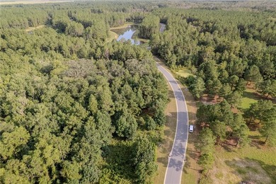 Build your dream coastal retreat on this 0.26-acre lagoon-front - photo 11