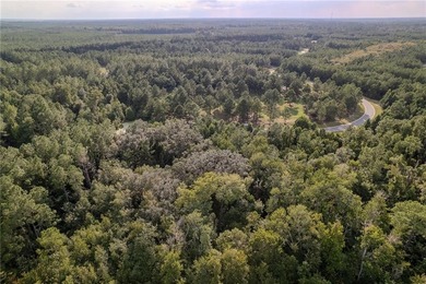 Build your dream coastal retreat on this 0.26-acre lagoon-front - photo 13
