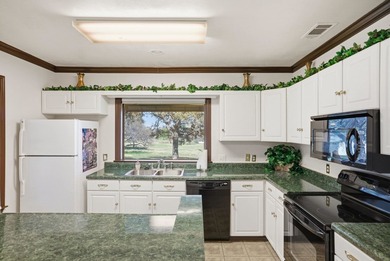 564' of Lake Buchanan shoreline. 6.3 acres. Eleven cabins. This - photo 15