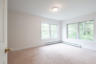 Move in spacious condo on cul du sac. Totally professionally - photo 33