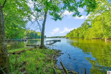 Buyer's agent to verify schools, taxes, square footage - photo 46