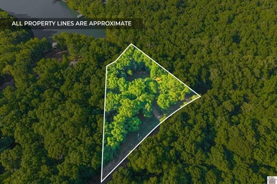 Buyer's agent to verify schools, taxes, square footage - photo 49