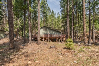 Lake Home For Sale in Trinity Center, California
