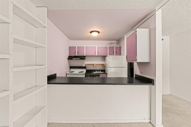 Excellent investment opportunity in one of Summit County's most - photo 3