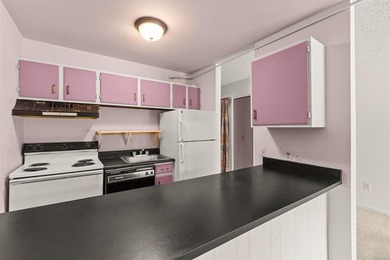Excellent investment opportunity in one of Summit County's most - photo 8
