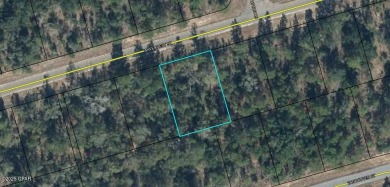 Boat Lake Lot For Sale in Chipley Florida