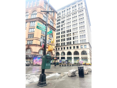 445 Lafayette Street #6B $2,990,000 | 2 Bed | 2 Bath High above - photo 6