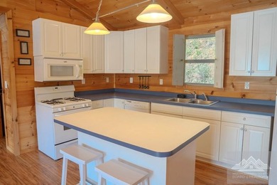 This is a 2 bedroom 1 full bath cabin with natural gas heat pump - photo 12