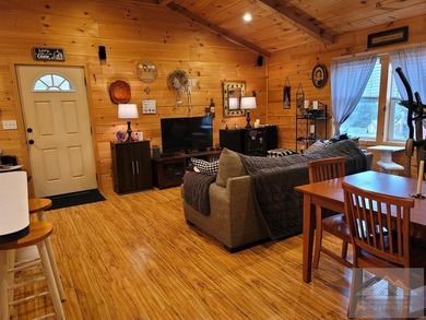 This is a 2 bedroom 1 full bath cabin with natural gas heat pump - photo 20