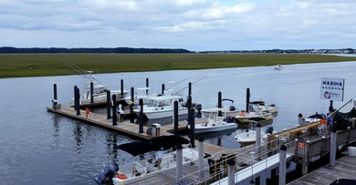 ***DEEP WATER! ****OVER 4.5 ACRES!! ****EDISTO ISLAND!!** - photo 25