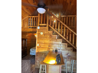 This is a 2 bedroom 1 full bath cabin with natural gas heat pump - photo 27