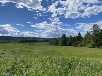 (private lake) Acreage For Sale in Rutland Town Vermont