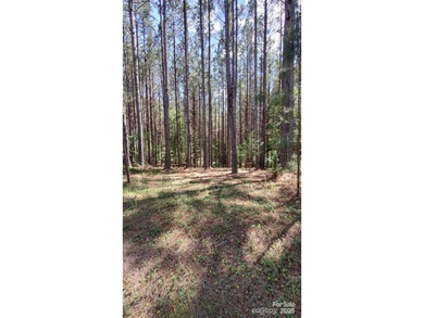 (private lake, pond, coastal) Acreage For Sale in Mooresboro North Carolina