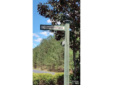 Welcome to Broad River Highlands in Mooresboro! This large lot - photo 3