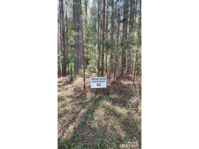 Welcome to Broad River Highlands in Mooresboro! This large lot - photo 4