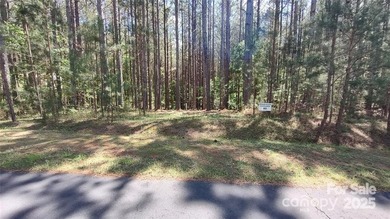 Welcome to Broad River Highlands in Mooresboro! This large lot - photo 5