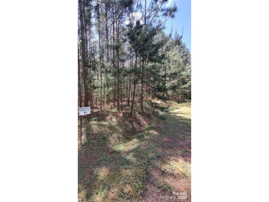 Welcome to Broad River Highlands in Mooresboro! This large lot - photo 8