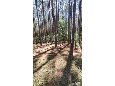 Welcome to Broad River Highlands in Mooresboro! This large lot - photo 9