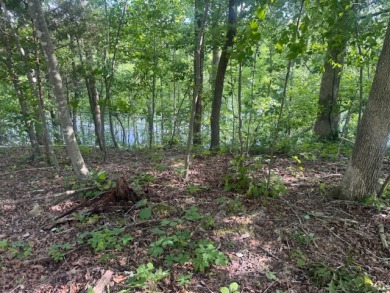 Waterfront Lot In Ambassador Shores - Lake Lot For Sale in Leitchfield, Kentucky