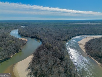 (private lake, pond, coastal) Acreage For Sale in Lumber City Georgia