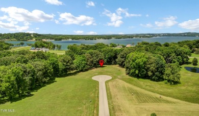 Lake Acreage For Sale in Baneberry, Tennessee