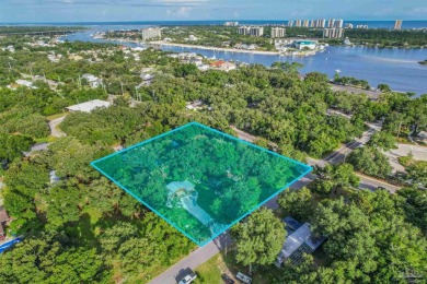 Unlock an exceptional investment opportunity in one of Perdido - photo 3